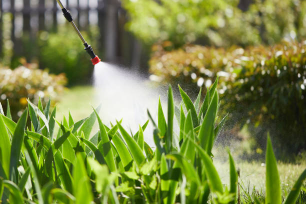 Tamper-Resistant Bait Stations for Rodents in Lewiston