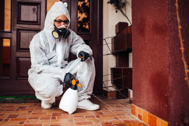 Attic and Crawl Space Rodent Treatment in Lewiston